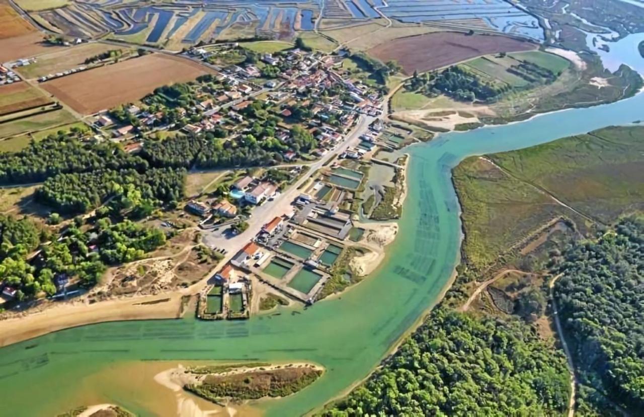La Maisonnette Du Payre Talmont-Saint-Hilaire Exteriér fotografie